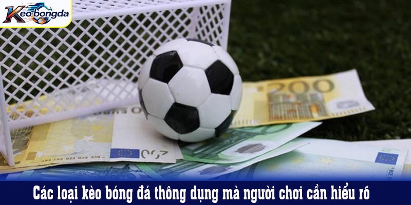 Hiểu rõ các loại kèo phạt góc phổ biến hiện nay